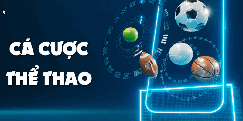 Sơ lược về thể thao ww88